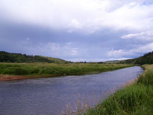 Река Плюсса у деревни Лосицы