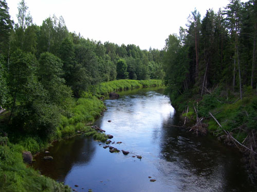Река Плюсса