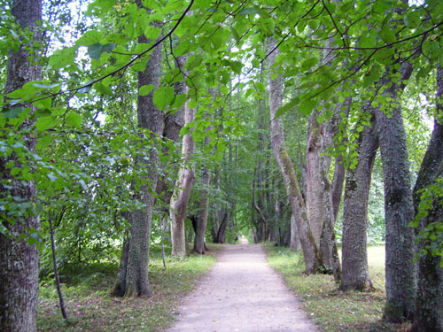Петровское: парк